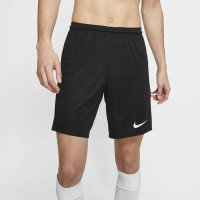 nike shorts dry park