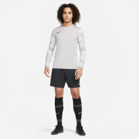 Nike Park IV Goalkeepers Long Sleeve Football Shirt Grey Black