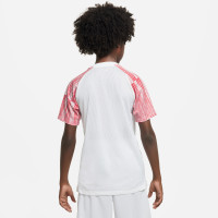 Nike Academy Dri-Fit Trainingsshirt Kids Wit Rood