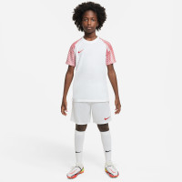 Nike Academy Dri-Fit Trainingsshirt Kids Wit Rood