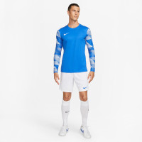 Nike DRY PARK IV Long Sleeve Goalkeeper Shirt Blue