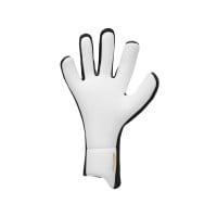 Nike Vapor Grip 3 Dynamic Fit Goalkeeper Gloves Black White Gold