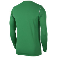 Nike Park 20 Crew Sweater Groen Wit