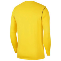 Nike Park 20 Crew Sweater Geel Zwart