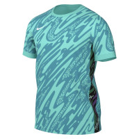 Nike Gardien V Goalkeeper Shirt Turquoise White