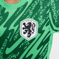 Nike Dutch Team Long Sleeve Goalkeeper Shirt 2024-2026 Kids Green