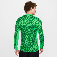 Nike Dutch Team Long Sleeve Goalkeeper Shirt 2024-2026 Green