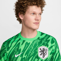 Nike Nederlands Elftal Keepersshirt Lange Mouwen 2024-2026 Groen